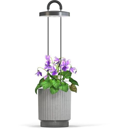 Smart Garden 1 Hydrovase, šedá