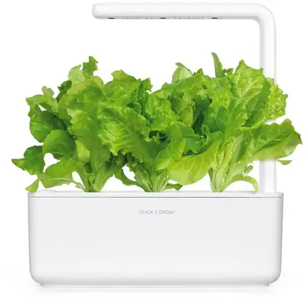 Smart Garden Hlavkový šalát