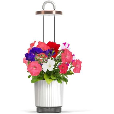 Smart Garden 1 Hydrovase, biela *Rozbalený*