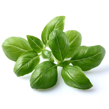 Smart Garden Bazalka