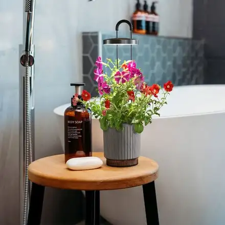 Smart Garden 1 Hydrovase, šedá