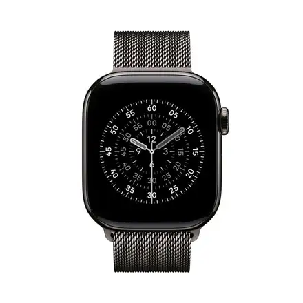 Apple Watch 40mm Slate Milanese Loop