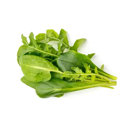 Smart Garden Mix zelených šalátov  3-pack