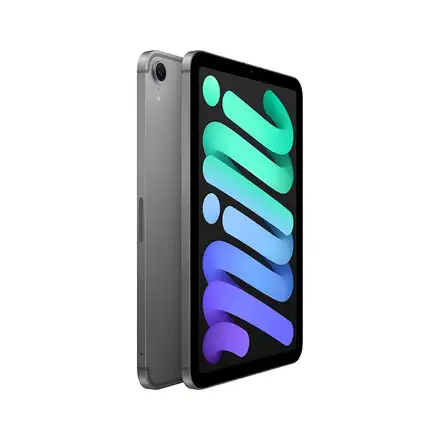 iPad mini Wi-Fi + Cellular 512GB Kozmický sivý (2024)