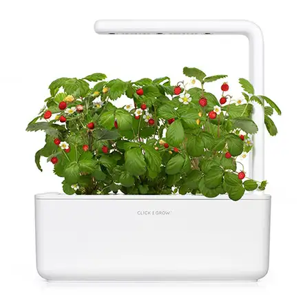 Smart Garden 3, biela