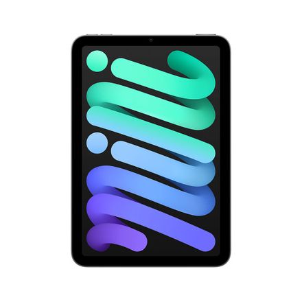 iPad mini Wi-Fi 256GB Kozmický sivý (2024)