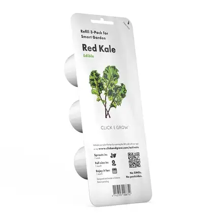 Smart Garden Kučeravý kel