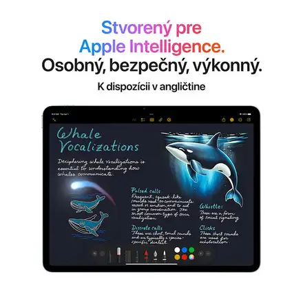 iPad Air 11" Wi-Fi + Cellular 1TB Kozmický sivý (2025)