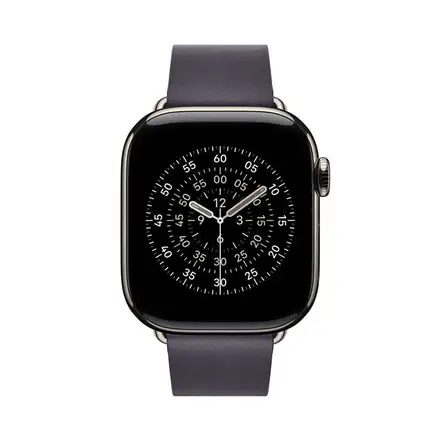 Apple Watch 42mm Midnight Purple Modern Buckle - Medium