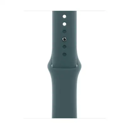 Apple Watch 42mm Lake Green Sport Band - M/L