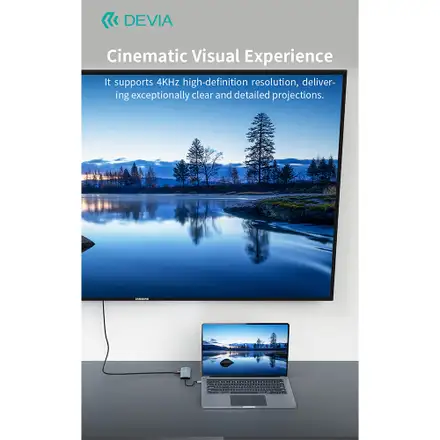 Devia USB-C Hub Leopard Series 9-in-1 EC704 - Deep Gray