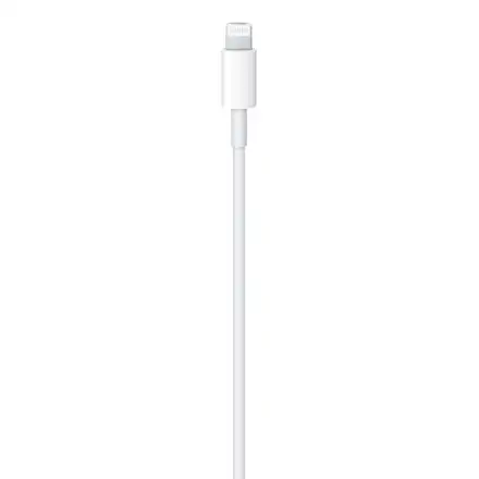 Apple USB-C to Lightning Cable (1 m)
