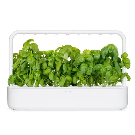 Smart Garden Bazalka