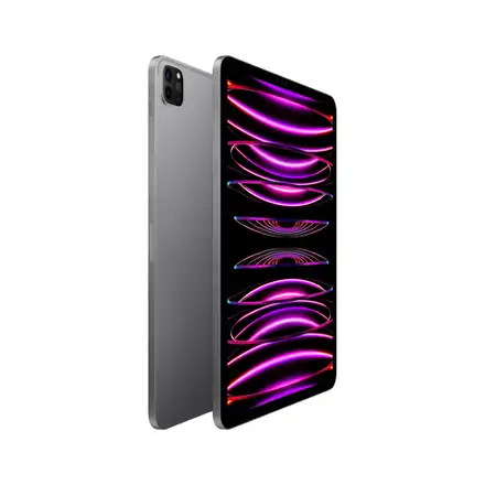 iPad Pro 11" (2022) Wi-Fi 128 GB kozmická sivá *Trieda A*