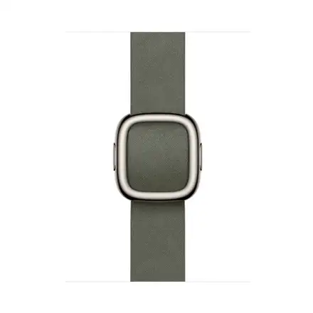 Apple Watch 42mm Sage Gray Modern Buckle - Medium