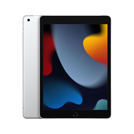 iPad 10,2" (2021) Wi-Fi + Cellular 64 GB strieborná *Trieda C*