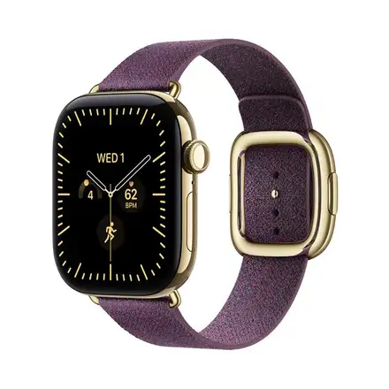 Apple Watch 42mm Mulberry Modern Buckle - Small