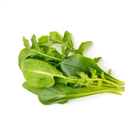 Smart Garden Mix zelených šalátov  3-pack