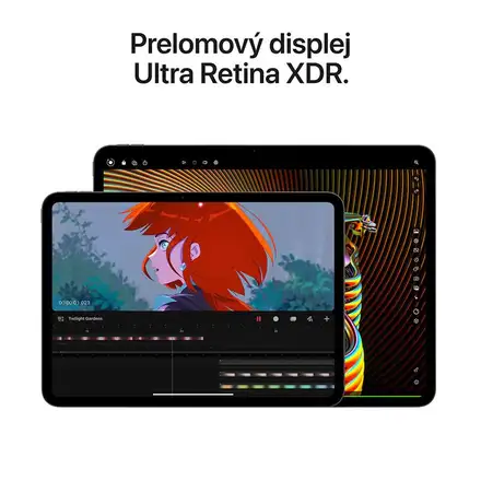 iPad Pro 11" Wi-Fi 2TB sklo s nanotextúrou - Strieborný (2024)