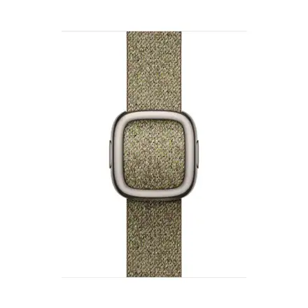 Apple Watch 42mm Sage Modern Buckle - Large