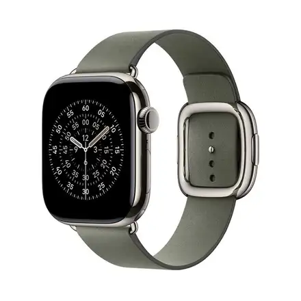 Apple Watch 42mm Sage Gray Modern Buckle - Large
