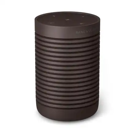 Bang & Olufsen Beosound Explore Chestnut reproduktor