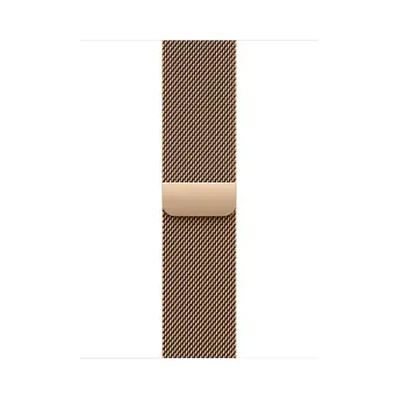 Apple Watch 40mm Gold Milanese Loop