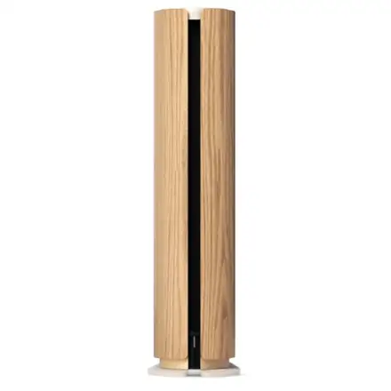 Bang & Olufsen BeoSound Emerge Gold Tone/Light Oak reproduktor
