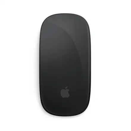 Apple Magic Mouse - Black Multi-Touch Surface