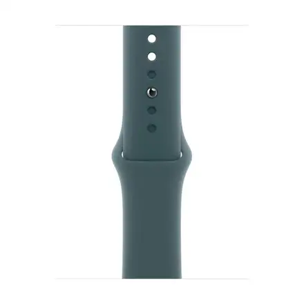 Apple Watch 42mm Lake Green Sport Band - M/L