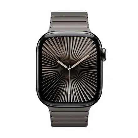 Apple Watch 42mm Slate Link Bracelet