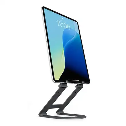 TwelveSouth stojan Curve Mini pre iPad - Slate