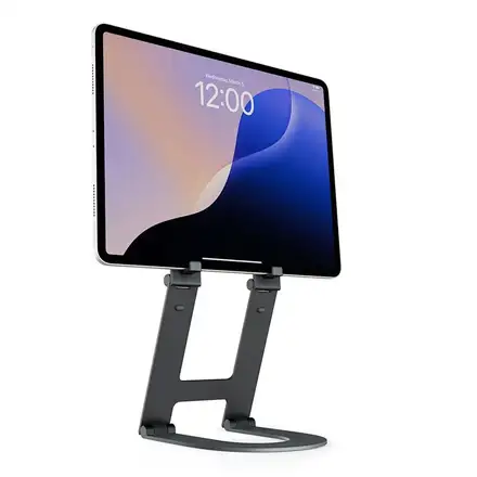 TwelveSouth stojan Curve Mini pre iPad - Slate