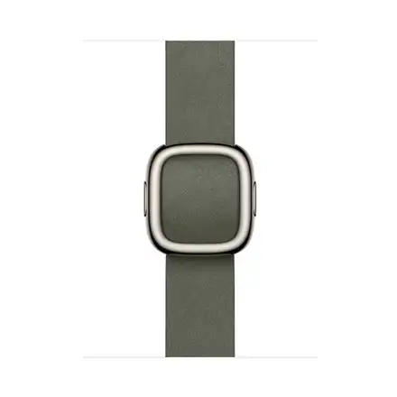 Apple Watch 42mm Sage Gray Modern Buckle - Large