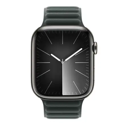Apple Watch 45mm Evergreen Magnetic Link - M/L