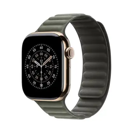 Apple Watch 42mm Sage Gray Magnetic Link - M/L