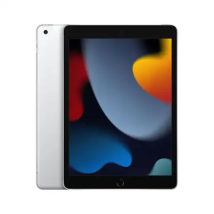 iPad 10,2" (2021) Wi-Fi + Cellular 64 GB strieborná *Trieda C*