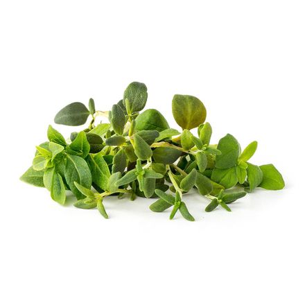 Smart Garden Mix Talianských bylín  3-pack