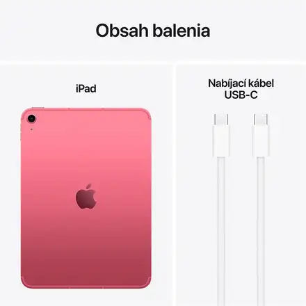 iPad 11" Wi-Fi + Cellular 256GB Ružový