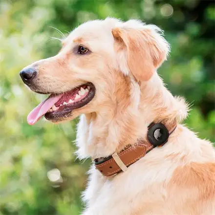 Spigen Airtag Pet Collar ComforTag - Black