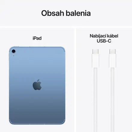iPad 11" Wi-Fi + Cellular 256GB Modrý