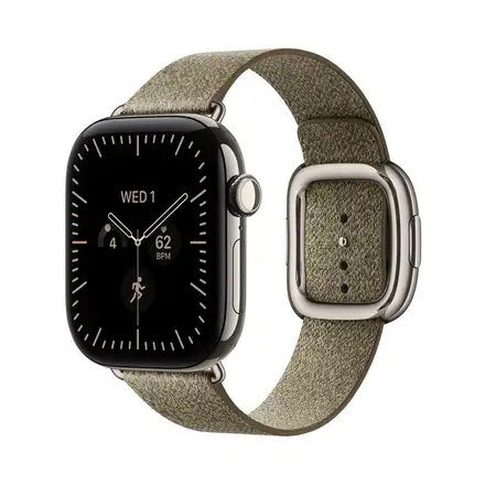 Apple Watch 42mm Sage Modern Buckle - Medium