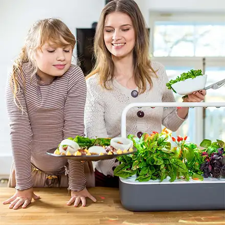 Smart Garden 9, šedá