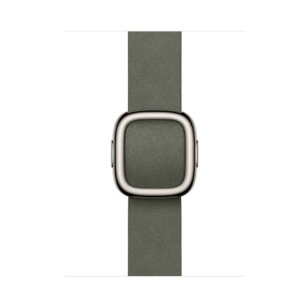 Apple Watch 42mm Sage Gray Modern Buckle - Large