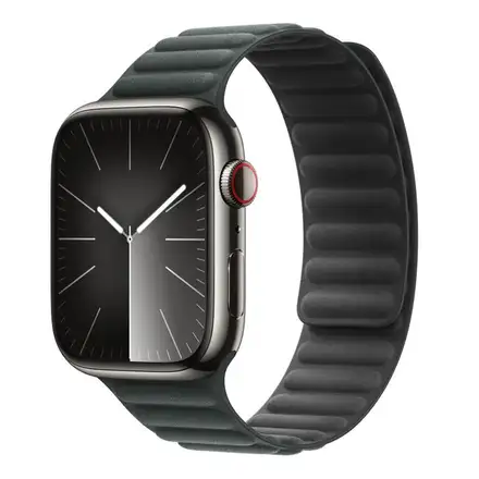 Apple Watch 45mm Evergreen Magnetic Link - M/L