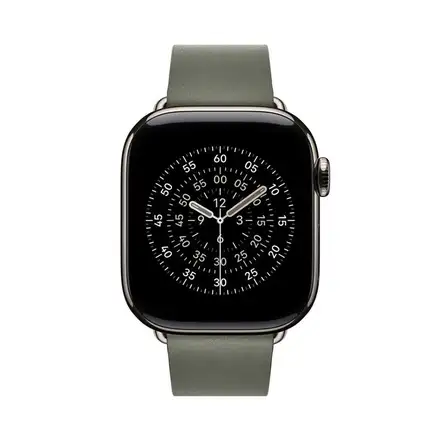 Apple Watch 42mm Sage Gray Modern Buckle - Small