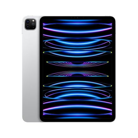 iPad Pro 11" (2022) Wi-Fi + Cellular 256 GB strieborná *Použitý s DPH - Trieda C*