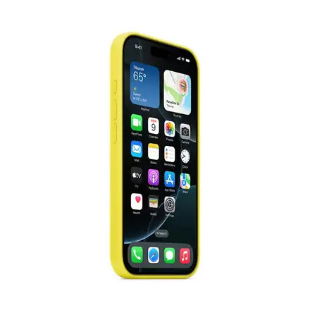 iPhone 16 Pro Silicone Case with MagSafe - Star Fruit