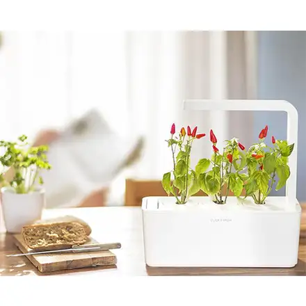 Smart Garden Chili papričky