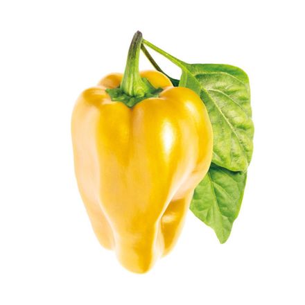 Smart Garden Sladká žltá paprika